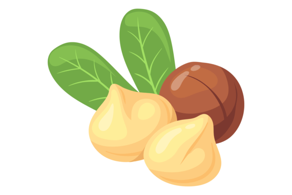 Download Macadamia Nut Cartoon Icon. Healthy Prot - Car Collection