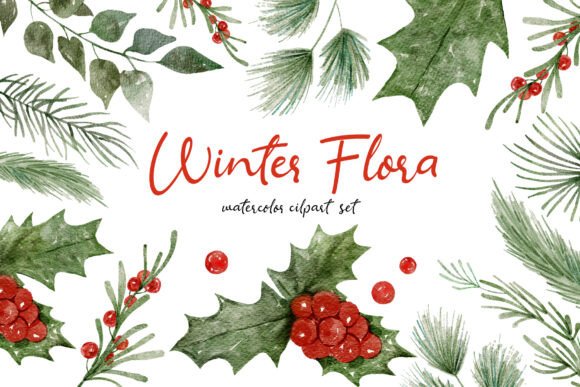 Download Winter Flora Watercolor Hand-drawn Set - Hand Collection